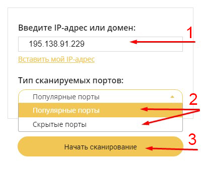 Вводим IP-адрес или домен, выбираем тип сканируемых портов и начинаем сканирование