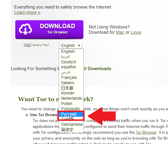 tor-2.png